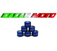 242.172 POLINI RULLI 20X17 G. 9,0 MALAGUTI F 18 WARRIOR 125/150 4T H2O