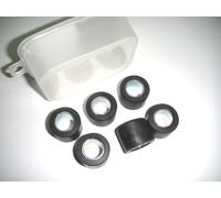 242303 RULLI POLINI PER VARIATORE 23X18 GR20 HONDA SH 350i E5 dal 2021 ->