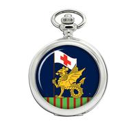 243 Campo Ospedale, Britannico Militare Orologio da Tasca