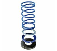 243096 MOLLA DI CONTRASTO POLINI BLU EVO-SLIDER YAMAHA T MAX 530 ie dal 2016