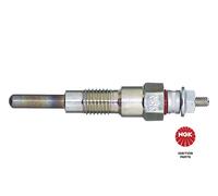 2431 NGK Candeletta per NISSAN