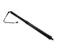 245 CV Ammortizzatore Cofano bag per LAND ROVER Range Rover Sport L320 3.0 D 4x4