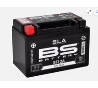 BS Battery Batteria SLA esente da manutenzione attivata in fabbrica - BT12A