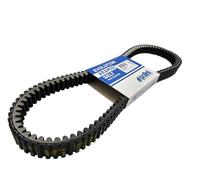 Cinghia Variatore Polini Honda SH 300 (248070) Per Moto Ricambi Ciclomotore