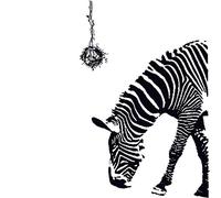 24pcs Premere Su Unghie Stili Balletto Stick On Nails Unghie Finte Lucide Unghie Artificiali Manicure Unghie Dec