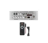 24V/AC110-220V D2000/D2000C Scheda Amplificatore Audio 2.1 Canali 100W+100W+200W Amplificatore di Uscita Ad Alta Potenza SPINA UE
