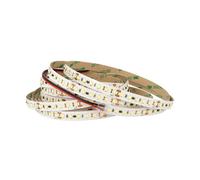 24V Bobina Striscia Led 17W/M Bianco Freddo Con 600 Smd 2835 5 Metri