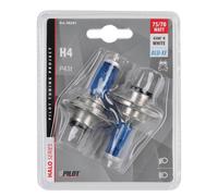Lampa 98281 H4 Blu-Xe Alogena Lampada, 24V, 70W/75W, P43T, D/Blister, Confezioni da 2