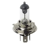 24V Lampada alogena Pro - H4 - 75/70W - P43t - 1 pz - Scatola