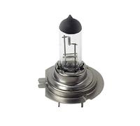 24V Lampada alogena Pro H7 70W PX26d 1 pz Scatola Qualità, durata e convenienza