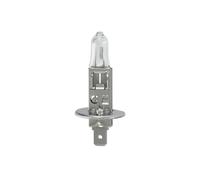 24V Truckstar H1 70W P14,5s 1 pz Blister Chi fa l’autista di professione guida