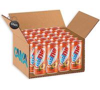 24X Estathe al Gusto di Pesca con Vero Infuso di Foglie di Thè Lattina 330ml [CAIYA® BOX da 24 Lattine]
