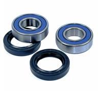 25-1293 KIT CUSCINETTI RUOTA POSTERIORE Suzuki LT-A500F Vinson 500cc 2003- ALL B