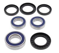 25-1392 KIT CUSCINETTI RUOTA POSTERIORE Suzuki GSX-R1000 1000cc 2004- ALL BALLS