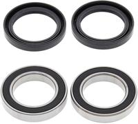 25-1595 KIT CUSCINETTI RUOTA POSTERIORE Arctic Cat 150 Utility 150cc 2012- ALL B