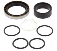 25-4001 ALL BALLS KIT PARAOLIO ALBERO PIGNONE KTM 530 EXC-R 2008