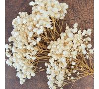 25/50/100/150/300 pezzi Mini Gipsofila e altri fiori artificiali - Per arti e mestieri, accessori per capelli, ghirlande da matrimonio, fiori da tavolo, decorazione per la casa, ecc. Paglia