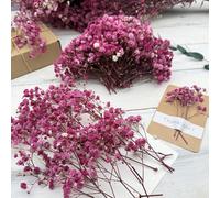 25/50/100/150/300 pezzi Mini Gipsofila e altri fiori artificiali - Per arti e mestieri, accessori per capelli, ghirlande da matrimonio, fiori da tavolo, decorazioni per la casa, ecc. Paglia