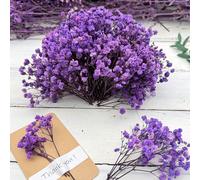 25/50/100/150/300 pezzi Mini Gipsofila e altri fiori artificiali - Per arti e mestieri, accessori per capelli, ghirlande da matrimonio, decorazioni da tavolo, decorazioni per la casa, ecc. Paglia