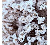 25/50/100/150/300 pezzi Mini Gipsofila e altri fiori artificiali - Per arti e mestieri, accessori per capelli, ghirlande da matrimonio, decorazioni da tavolo, decorazioni per la casa, ecc. Paglia