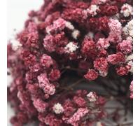 25/50/100/150/300 pezzi Mini Gipsofila e altri fiori artificiali - Per arti e mestieri, accessori per capelli, ghirlande da matrimonio, fiori da tavolo, decorazione per la casa, ecc. Paglia