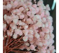 25/50/100/150/300 pezzi Mini Gipsofila e altri fiori artificiali - Per arti e mestieri, accessori per capelli, ghirlande da matrimonio, fiori da tavolo, decorazione per la casa, ecc. Paglia