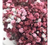25/50/100/150/300 pezzi Mini Gipsofila e altri fiori artificiali - Per arti e mestieri, accessori per capelli, ghirlande da matrimonio, fiori da tavola, decorazione della casa, ecc. Paglia