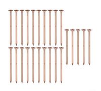 25 chiodi per la rimozione di ceppi di rame da 7,6 cm, punte per attrezzi da giardino, per una rapida eradicazione di radici e ceppi degli alberi