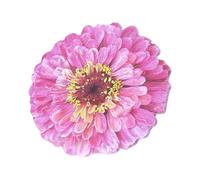 25 fogli di blocchetto per appunti rimovibili, con motivo floreale, autoadesivo, blocco note autoadesive