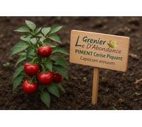 25 Grines à semer - Le Grenier d'Abondance - PIMENT Cerise Piquant - Capsicum Annuum