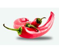 25 Grines à semer - Le Grenier d'Abondance - PIMENT ROUGE Long ordinaire - Capsicum annuum
