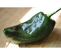 25 Pasilla Ancho Semi poblano Mild Chili Chile Pepper, Capsicum annuum, Chilaca