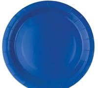 25 Piatto in cartoncino diametro 24 cm monouso BIODEGRADABILE - ecolor - addobbo decoro tavola feste di compleanno, natale, matrimonio, anniversario, nozze, capodanno, party ecc. (BLU)