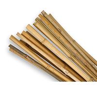 25 PZ CANNE CANNA DI BAMBOO PALI PALETTI H.210 CM SPESSORE Ø 24/26 FERR 268769
