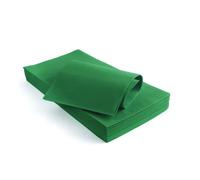 25 Tovaglie in TNT coprimacchia 100x100 cm colore VERDE 1E1B
