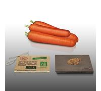 250 Grines Bio à semer - Le Grenier d'Abondance - CAROTTE Nantaise - Certifié AB - Daucus Carota