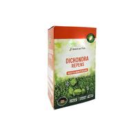 250gr Semi Prato DICHONDRA REPENS M003 Semina fino a 16m² Sementi per aiuole