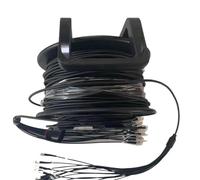 250m 2/4/6/8 core Outdoor Patch Cord 5mm Armored impermeabile Modalità singola (4 core TPU LC-LC)