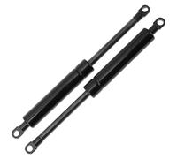 250mm/9.84" Gas Struts e Gas Springs 600N Acciaio al carbonio nero 2 pz
