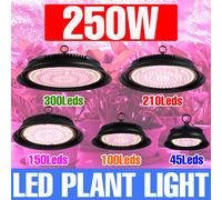 250W LED Coltiva Le Luci Spettro Completo Pianta Coltivazione Idroponica Lampada Spina US/EU Per Serra Interna Pomodoro Verdure Growbox