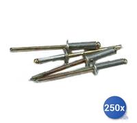 250x Rivetti Alluminio E-100 Mm 4,8X25