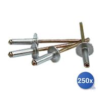 250x Rivetti Alluminio Testa Extra Larga E-100 Mm 4,8X16