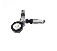 252813A000 25281-3A000 Tendicinghia Per Hyundai IX55 E Per Kia Per Borrego Per Genesis 3.0 V6 CRDI 25281 3A000 Puleggia