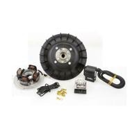 25356843 PINASCO FLYTECH KIT ACCENSIONE ELETTRONICA 900g PER VESPA PX PE 200