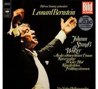 2543 040 Johann Strauss Sohn Walzer BPO Karajan LP