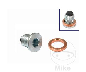 25476-Vite di scarico dell''olio compatibile con TRIUMPH TIGER EXPLORER 1200 XCX