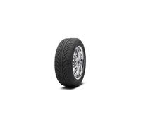 255/45 R 19 PILSPORT A/S P M+S N1 100V