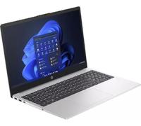 255 G10 (816F7EA) (silber, Windows 11 Pro 64-Bit, 512 GB SSD)