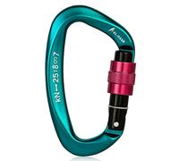 25KN Moschettone Professionale Vite di Bloccaggio Cancello Heavy Duty D-forma Fibbia D-ring Leggero Amaca Clip di bloccaggio per Rappelling Canyoning Gear Quick Clip Attrezzatura Aviazione Alluminio
