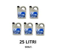25L Olio Motore GM 5W30 Dexos2 Originale Opel ACEA C3 API SN Formato Officine